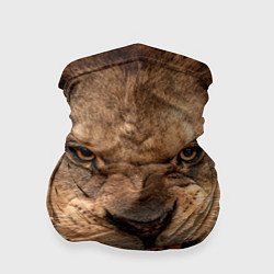Бандана-труба Взгляд льва, цвет: 3D-принт