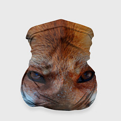 Бандана-труба Взгляд лисы, цвет: 3D-принт