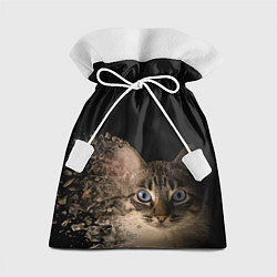 Мешок для подарков Disintegrating Cat, цвет: 3D-принт