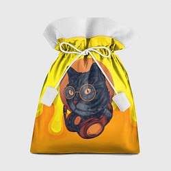 Мешок для подарков D j Cat Кот диджей, цвет: 3D-принт