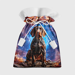 Мешок для подарков Дратхаар в космосе, цвет: 3D-принт