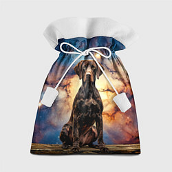 Мешок для подарков Курцхаар и космос, цвет: 3D-принт