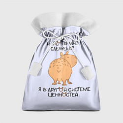 Подарочный мешок Капибара: что ты мне сделаешь я в другой системе