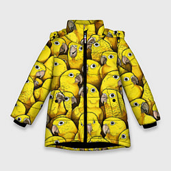Куртка зимняя для девочки Попугаи, цвет: 3D-черный
