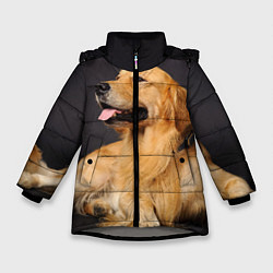 Куртка зимняя для девочки Золотистый ретривер, цвет: 3D-светло-серый