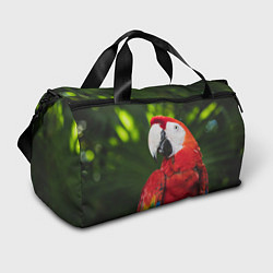 Сумки спортивные Красный попугай Ара, цвет: 3D-принт