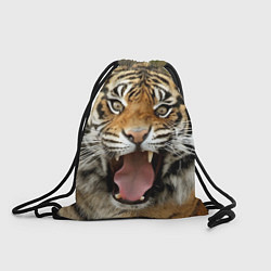 Рюкзак-мешок Удивленный тигр, цвет: 3D-принт