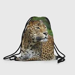 Рюкзак-мешок Лик леопарда, цвет: 3D-принт