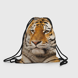 Рюкзак-мешок Мудрый тигр, цвет: 3D-принт
