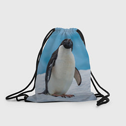 Рюкзак-мешок Пингвин на айсберге, цвет: 3D-принт