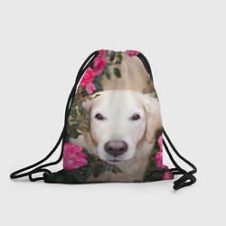 Рюкзак-мешок Песик в розах, цвет: 3D-принт