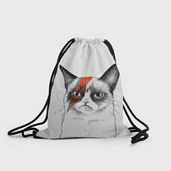 Рюкзак-мешок David Bowie: Grumpy cat, цвет: 3D-принт