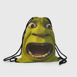 Мешок для обуви Shrek is Yelling