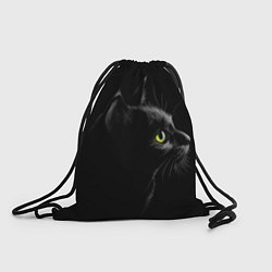 Мешок для обуви Черный кот