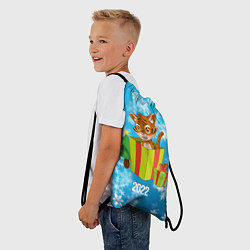 Рюкзак-мешок Тигр в подарочной коробке, цвет: 3D-принт — фото 2