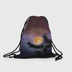 Мешок для обуви Night sky with full moon by Apkx