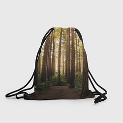 Рюкзак-мешок Дневной лес, деревья и свет, цвет: 3D-принт