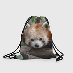 Рюкзак-мешок Красная панда, цвет: 3D-принт