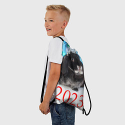 Рюкзак-мешок Кролик символ наступающего нового года, цвет: 3D-принт — фото 2