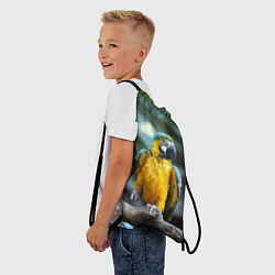 Рюкзак-мешок Красавец попугай, цвет: 3D-принт — фото 2