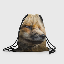 Рюкзак-мешок Мудрый лис, цвет: 3D-принт