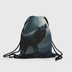 Рюкзак-мешок Волк воющий на Луну, цвет: 3D-принт