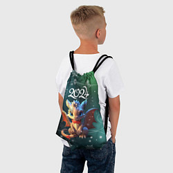 Рюкзак-мешок Дракоша - символ года, цвет: 3D-принт — фото 2