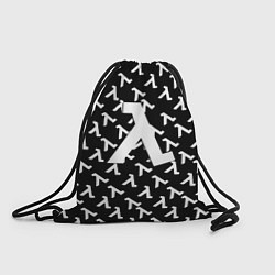 Мешок для обуви Half liife logo pattern