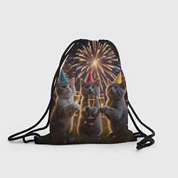 Мешок для обуви Праздничные коты