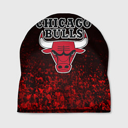 Шапка CHICAGO BULLS, цвет: 3D-принт