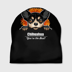 Шапка Чихуахуа Chihuahua