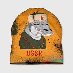 Шапка Nft token art USSR, цвет: 3D-принт