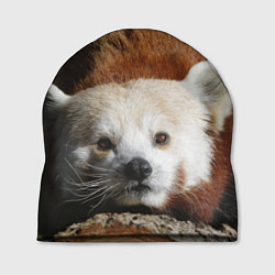 Шапка Красная панда ждёт, цвет: 3D-принт