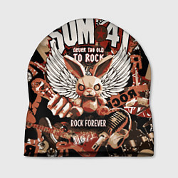 Шапка Sum 41 на фоне кролика и гитар