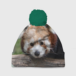 Шапка с помпоном Красная панда, цвет: 3D-зеленый