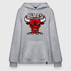 Толстовка-худи оверсайз Chicago Bulls est. 1966, цвет: меланж