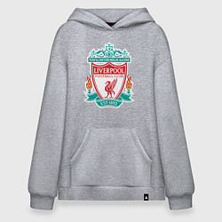 Толстовка-худи оверсайз Liverpool FC, цвет: меланж