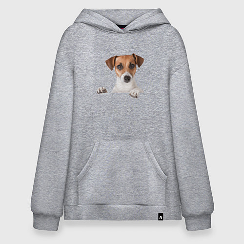 Худи оверсайз Собака / Меланж – фото 1