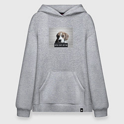 Толстовка-худи оверсайз Бигль шалун, цвет: меланж