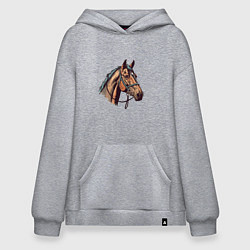 Толстовка-худи оверсайз Коняка скакуняка, цвет: меланж