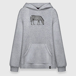 Толстовка-худи оверсайз Зебра ест траву, цвет: меланж