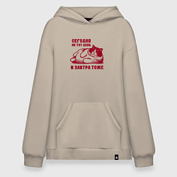 Худи оверсайз Недовольный толстый котик сегодня не тот день