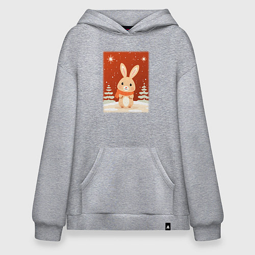 Худи оверсайз Снежный милый кролик / Меланж – фото 1