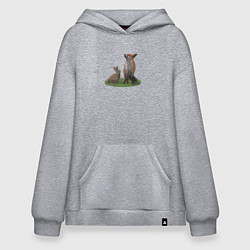 Толстовка-худи оверсайз Лиса и заяц, цвет: меланж