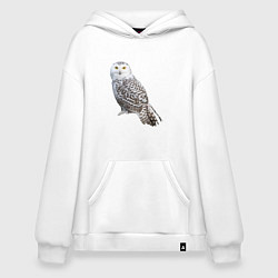 Толстовка-худи оверсайз Полярная сова, цвет: белый