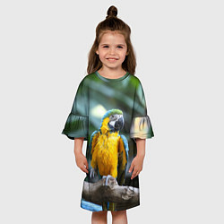 Платье клеш для девочки Красавец попугай, цвет: 3D-принт — фото 2