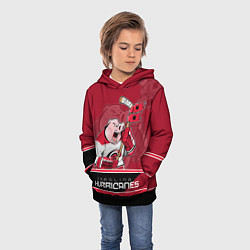 Толстовка-худи детская Carolina Hurricanes, цвет: 3D-черный — фото 2