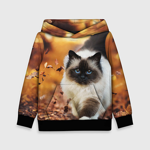 Детская толстовка Котик в листьях / 3D-Черный – фото 1