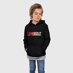 Толстовка-худи детская Limp Bizkit, цвет: 3D-меланж — фото 2