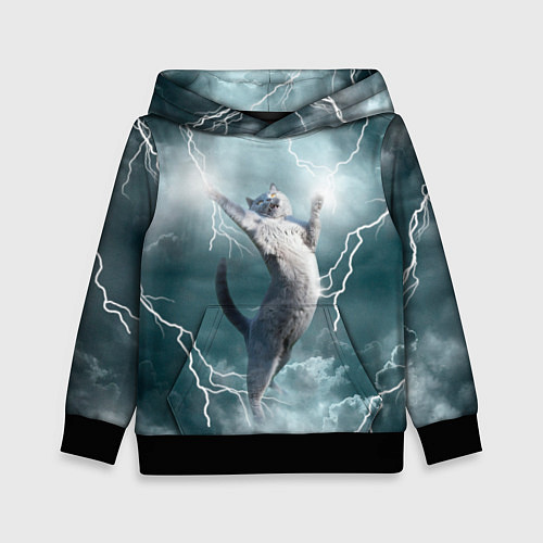 Детская толстовка Грозовой кошак / 3D-Черный – фото 1